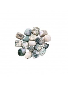 Agate Tree Rhodiola 2x2cm 2