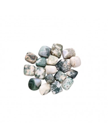 Pietre di Agata albero rotolate 2x2cm.