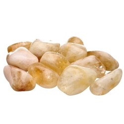 Citrine Rhodiola 5x4cm