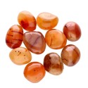 Rodati di Cornalina 4x3 centimetri