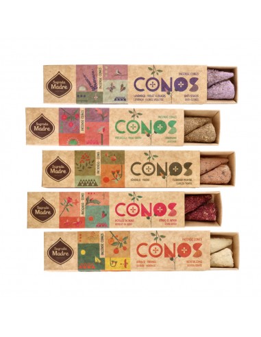 Coni di lavanda e fiori viola - Madre...