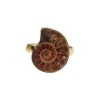 Anello in Bronzo Regolabile con Ammonite -11-