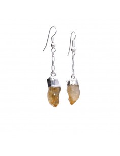 Boucles d'oreilles en...