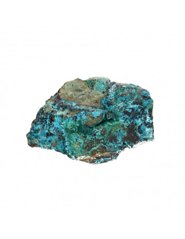 Chrysocolle brute moyenne