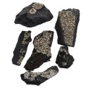 Pyrite with Carbon