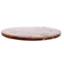 Targa con Ammonite Fossile