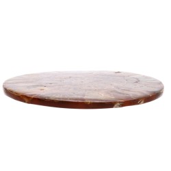 Targa con Ammonite