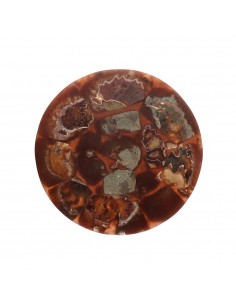 Piastra con ammonite 2