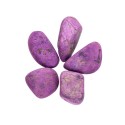 Rodati di Purpurite