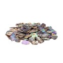 Abalone Chips