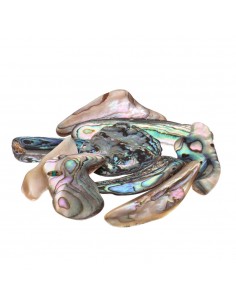 Abalone Laminas 2