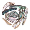 Lamine di Abalone