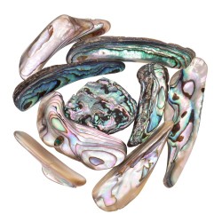 Lamine di Abalone