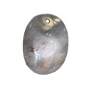 Pendentif Labradorite : Vives de la Cortada