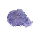 Fluorite Blu Grezza 160 - 180 grammi