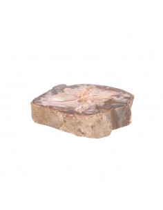 Placca Xilópalo 2