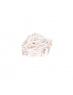 Rosa del deserto piccola 2