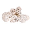 Small Desert Rose | Vives de la Cortada