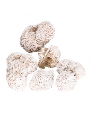 Desert Rose Small