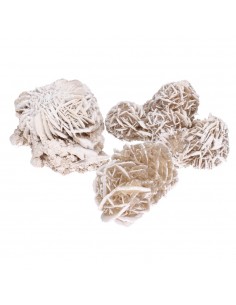Large Desert Rose 2