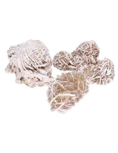 Large Desert Rose