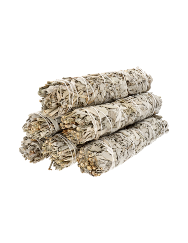 Salvia Bianca della California Grande...