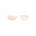 Small Agate Geodites pack 250gr : Vives de la Cortada