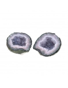 Geodino di Agata Grande 2