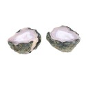 Geodino de Ágata Grande embala 250gr | Vives de la Cortada