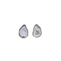 Agate Geodino Medium Random