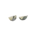 Agate Geodino Medium Random