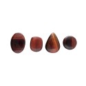 Walleye Cabochon ()