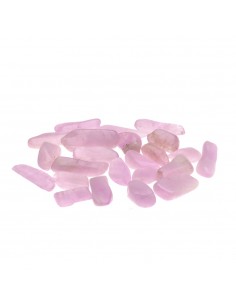 Kuncita Mini Rodados