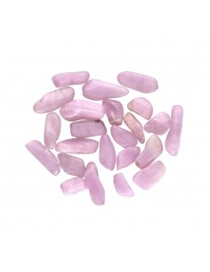 Kuncita Mini Rodados 2