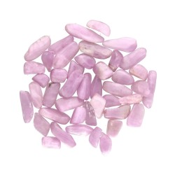 Mini Rodados de Kuncita Extra