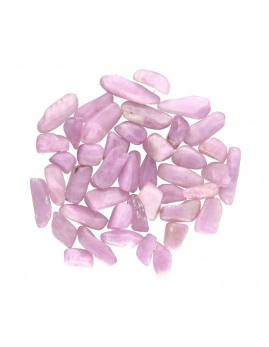 Mini Rodados de Kuncita Extra