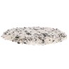 Moonstone Chips