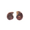 Coppia di Ammonite 2-3cm
