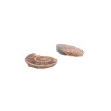 Par de Amonite 2-3cm