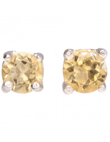 Orecchini a bottone mini in cerchio...