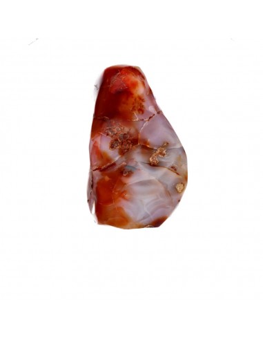 Figura lucidata di Agata FPJ4