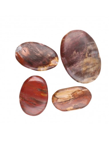 Scaglie di legno piallato