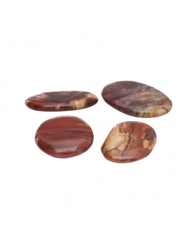 Scaglie di legno piallato