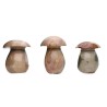 Champignons en jaspe polychrome poli