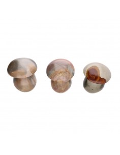 Cogumelos de jaspe... 2