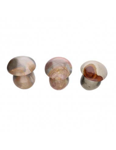 Champignons en jaspe polychrome poli