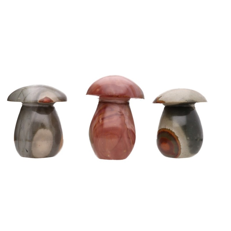 Funghi Lucidi di Diaspro Policromo
