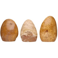Forme Lucide di Giada Marrone