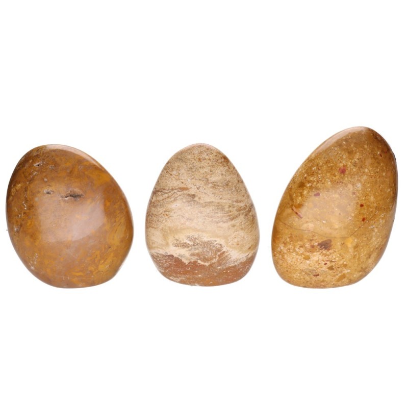 Forme Lucide di Giada Marrone