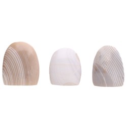 Forme Lucide di Agata Zebra